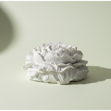 Gipsinė dekoratyvinė gėlė „Bijūnas“